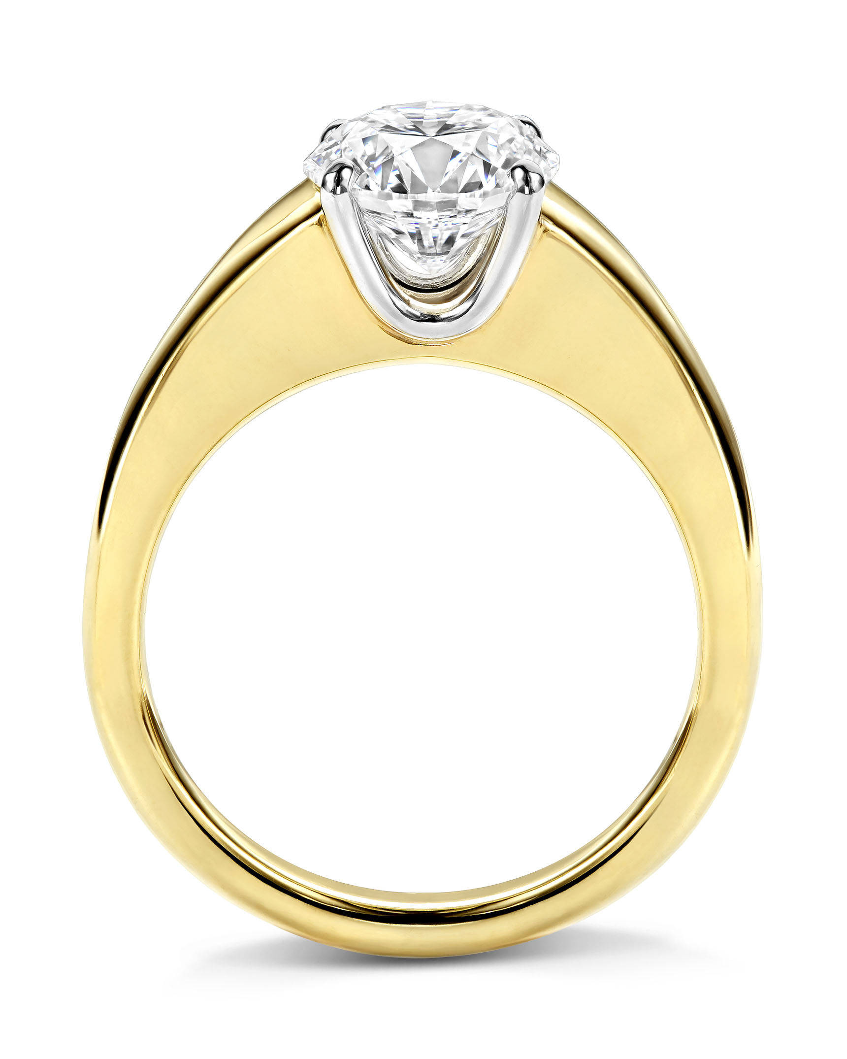 RMMM01054_3 RMMM01054_3