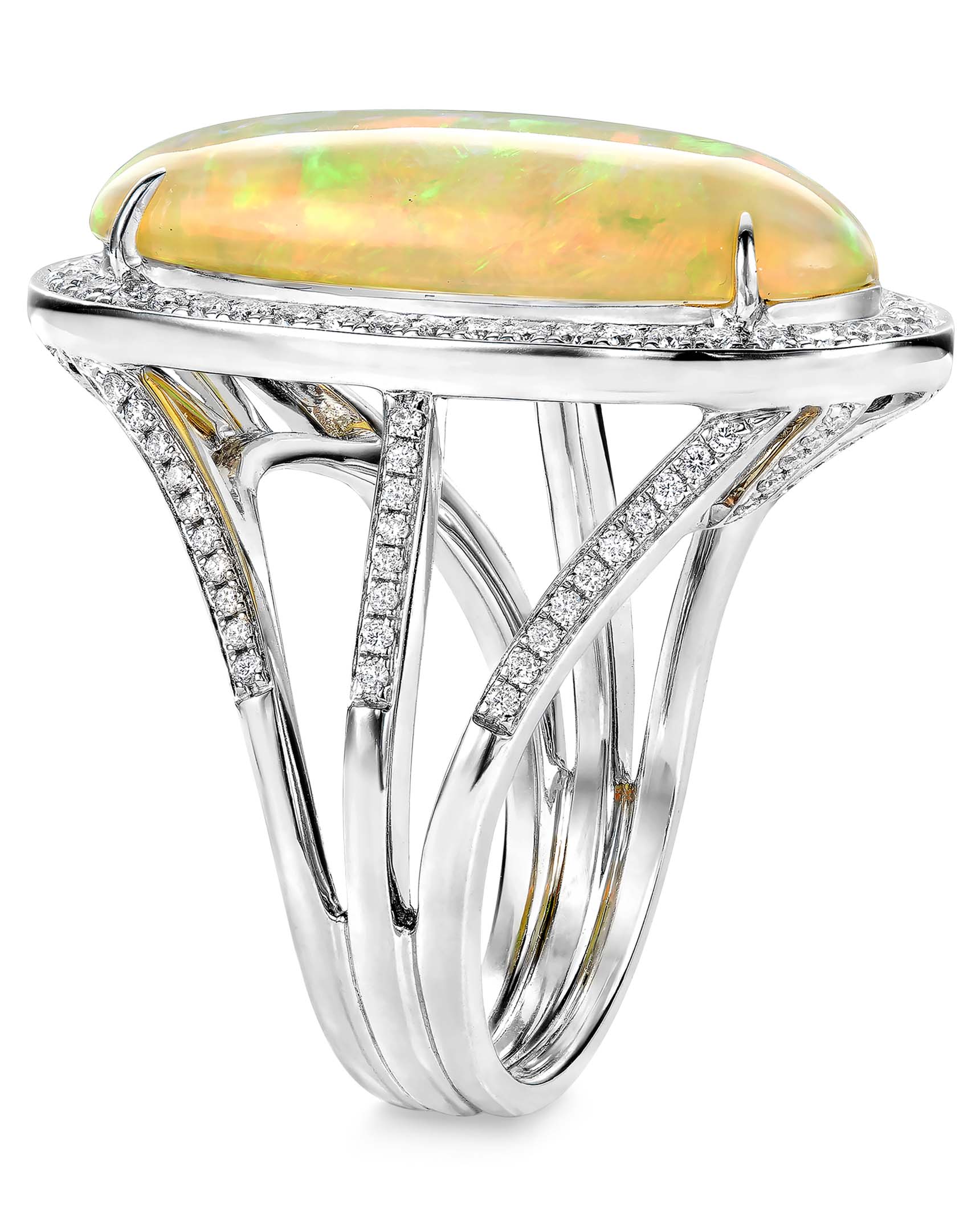 RCDMS03533_2 RCDMS03533_2