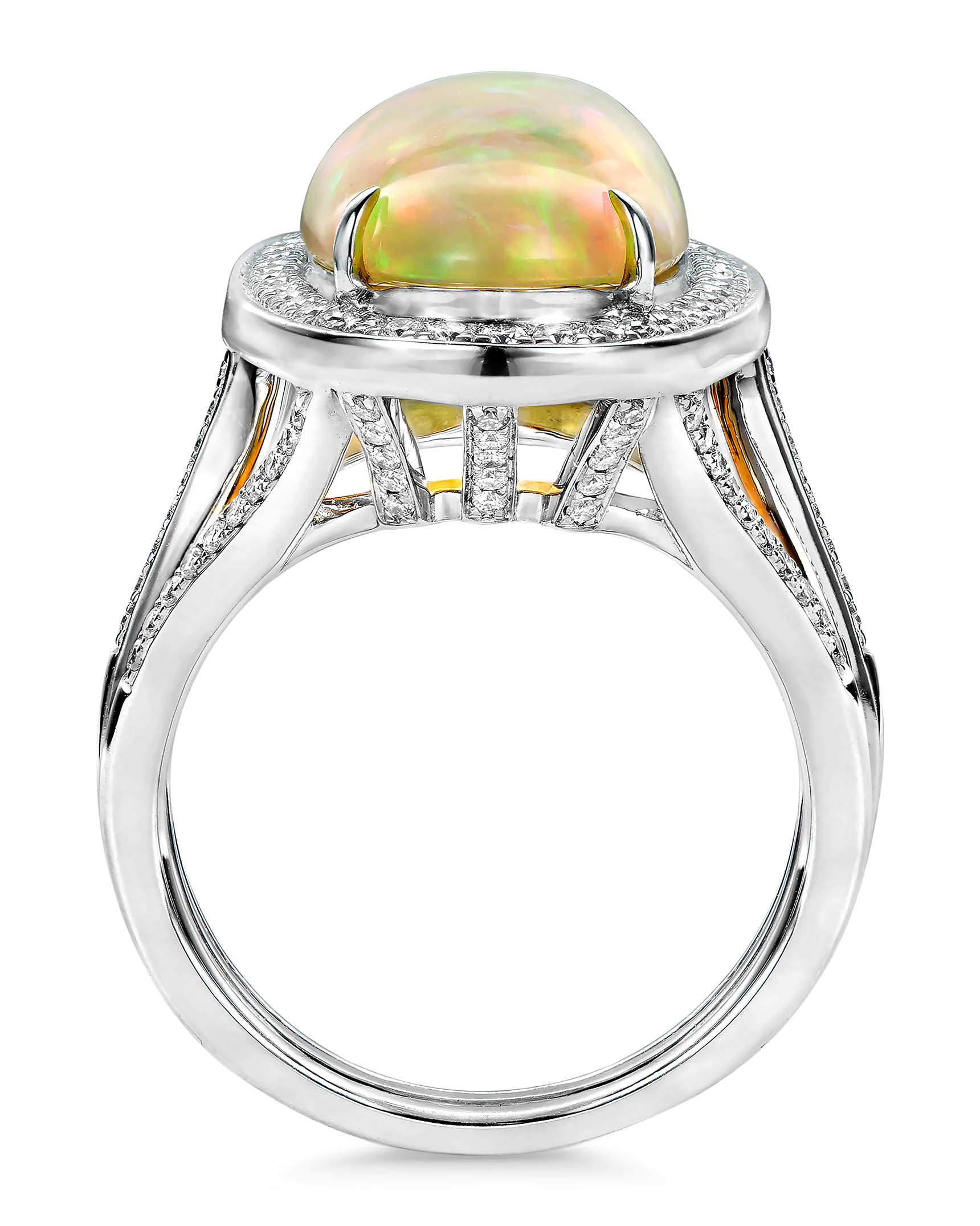 RCDMS03533_3 RCDMS03533_3